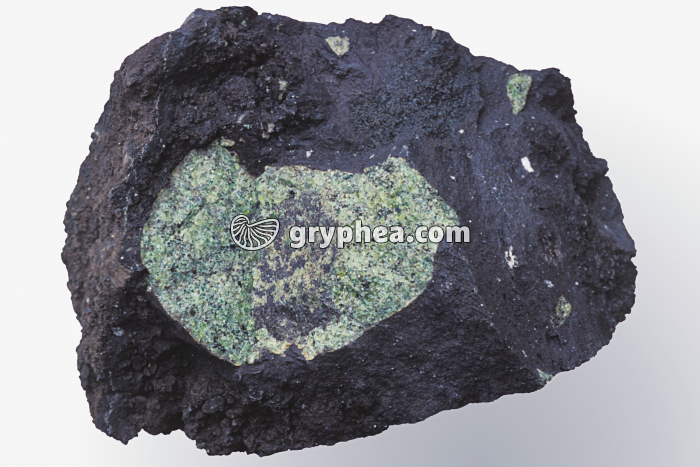 Péridotite dans basalte - gryphea.com